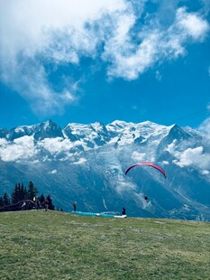 高山草甸上的壮丽雪山景观
