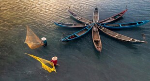 水上渔民撒网作业场景