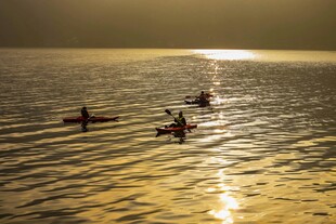 夕阳下的海上皮划艇运动
