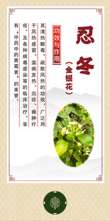 中药材 忍冬介绍