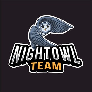 夜鹰团队标志设计