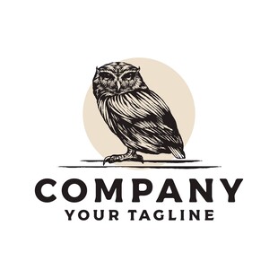 猫头鹰主题公司标志设计