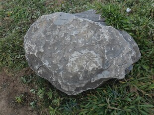 草地上的灰色大石头