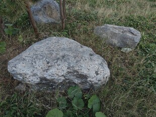 野外草地上的灰色石头