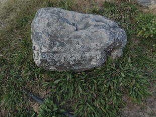 草地上的灰色大石头