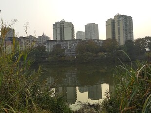 河畔城市景观静谧风光