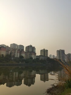 河畔城市风光倒影美景