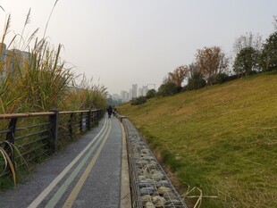 郊外河畔步道风景
