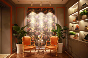 优雅客厅的精致休闲角落