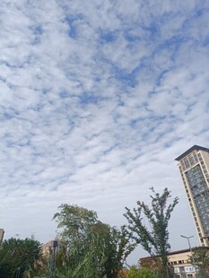 蓝天白云下的城市建筑