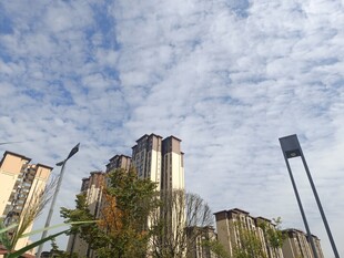 城市高楼与蓝天白云景观