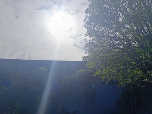 阳光透过树叶洒下的景象