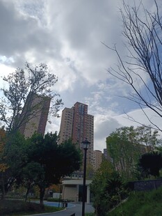 城市公园旁的高楼景观