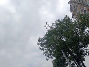 阴天中的绿树与建筑物