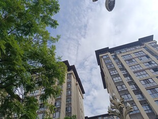 绿树旁的高层住宅楼