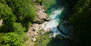 山间溪流穿林而过