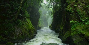 峡谷溪流间的清幽自然景