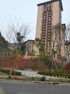 现代风格高楼与周边景观