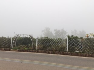 雾中公路旁的围栏景观