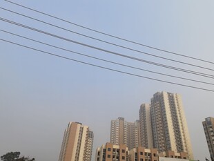 城市高楼与空中电线景观