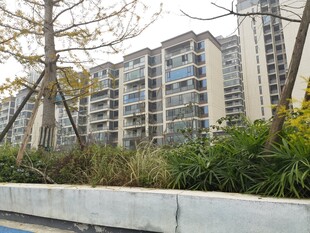 现代小区景观与高层住宅