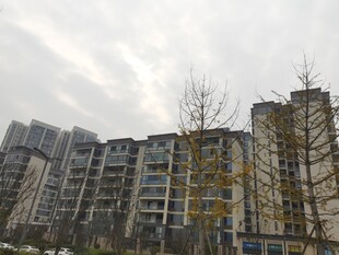 高层住宅外观景色