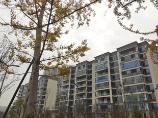 现代高层住宅景观