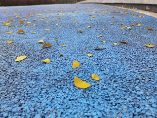 蓝色地面上散落的黄色叶片