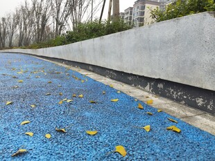 蓝色路面上的散落黄叶