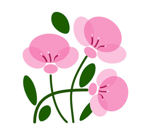 粉色花朵插画