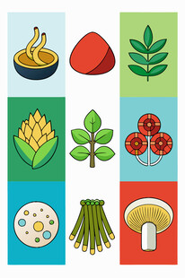 多样新鲜食材展示