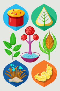 多彩植物图标集合