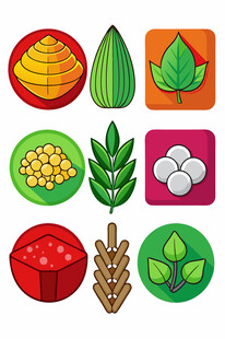 多样传统美食与食材展示