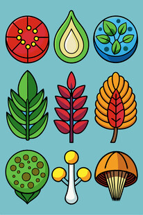 多样植物元素插画