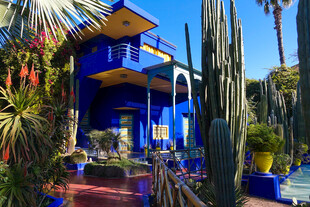 蓝色梦幻住宅与绿植景观