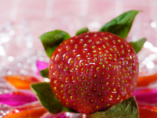 草莓