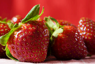 新鲜草莓