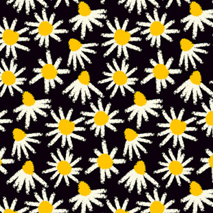 黑色背景上的雏菊图案