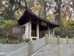 古朴山林中的传统小亭