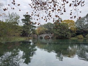 秋日湖畔静谧美景