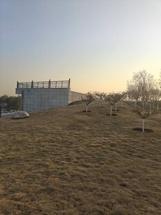 城郊开阔地与远处建筑