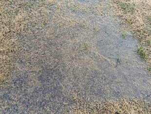 地面斑驳痕迹特写