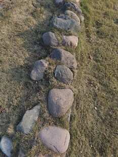 草地中的一排不规则石头