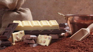 多样巧克力原料与制品展示