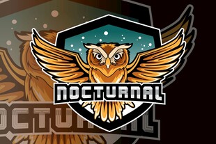 夜之电竞战队标志