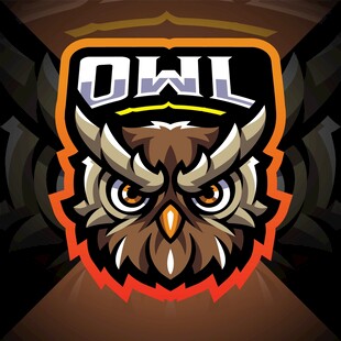 守望先锋联赛猫头鹰标志