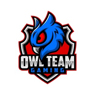 猫头鹰战队游戏标志