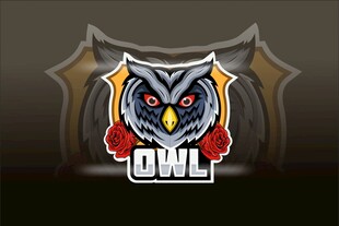 守望先锋联赛标志