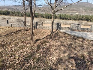 郊外空旷墓地场景