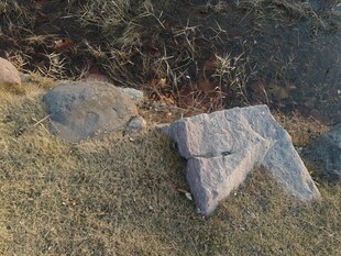 草地上的灰色石块